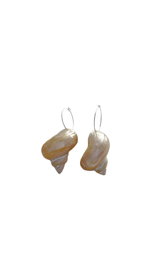 Conchitas Del Cielo